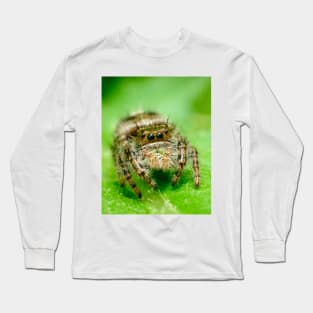 Jumping Spider on a Green Leaf. Macro Photography Long Sleeve T-Shirt